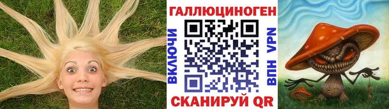 Купить где  Анжеро-Судженск  Галлюциногенные грибы MAGIC MUSHROOMS 